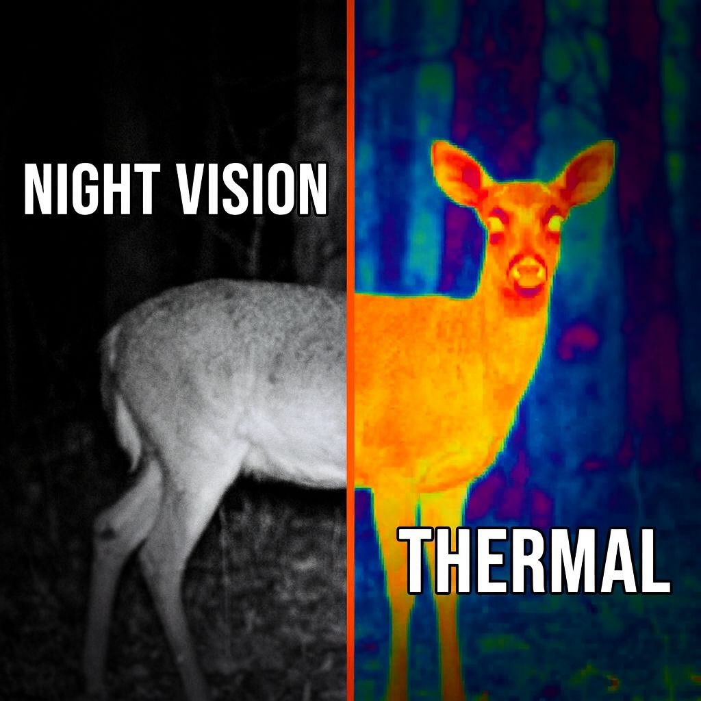 How to Choose Between Thermal and Night Vision |CIGMAN