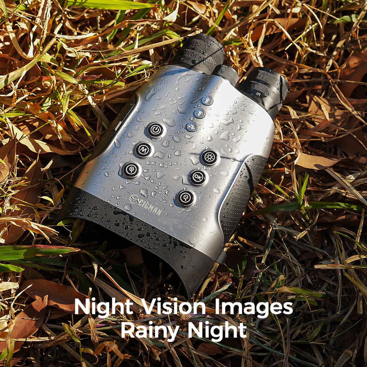 Night Vision Images vs. Daytime Recordings: A Real-World Stress Test